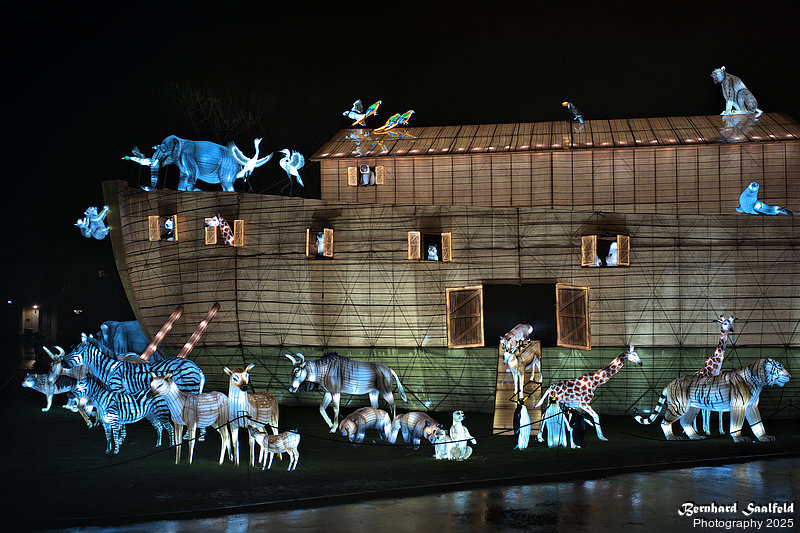 Bernhard Saalfeld - ChinaLightKoelnerZoo2025 (3v9)